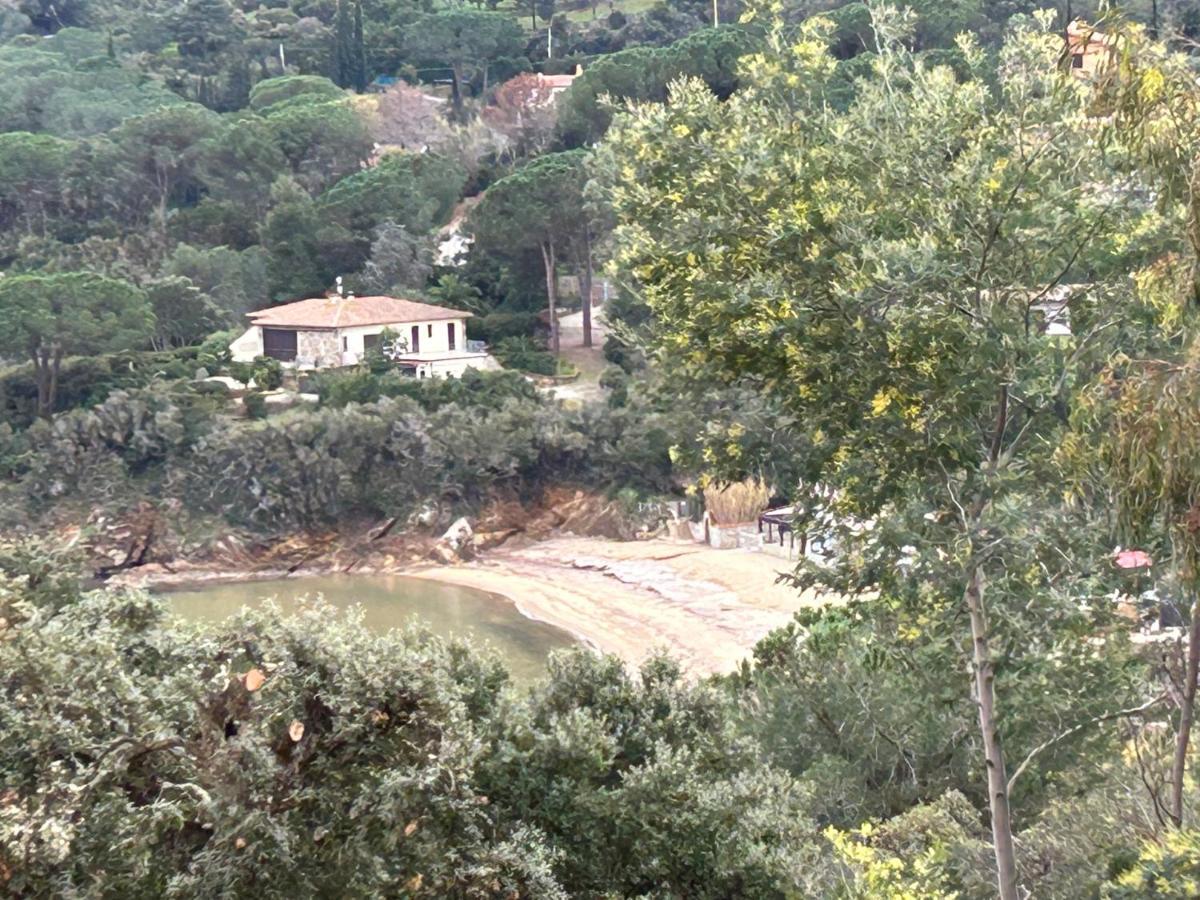 Suosogno Sul Mare 200Metri Dalla Spiaggia Capoliveri Kültér fotó