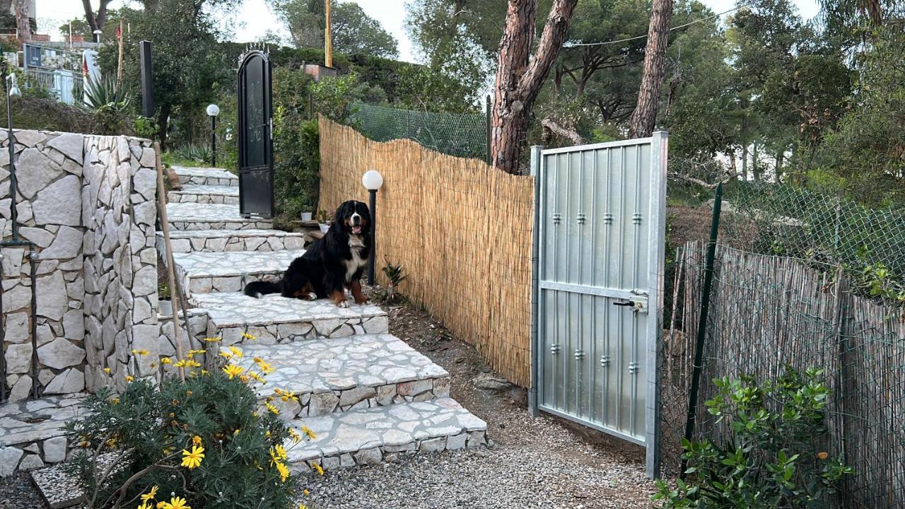 Suosogno Sul Mare 200Metri Dalla Spiaggia Capoliveri Kültér fotó